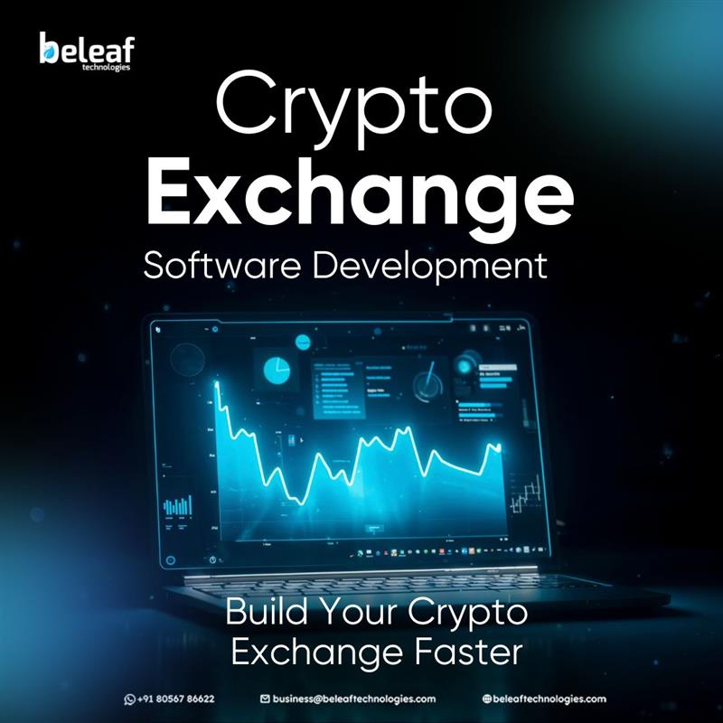 Professional Crypto Exchange Software Development Providers